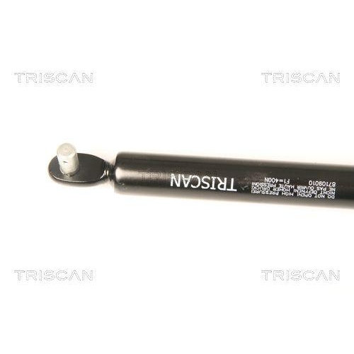 Gasfeder, Frontklappe TRISCAN 8710 9010 f&uuml;r DAF