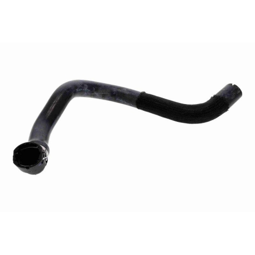 VAICO V24-1594 K&uuml;hlerschlauch Original VAICO Qualit&auml;t f&uuml;r FIAT, unten