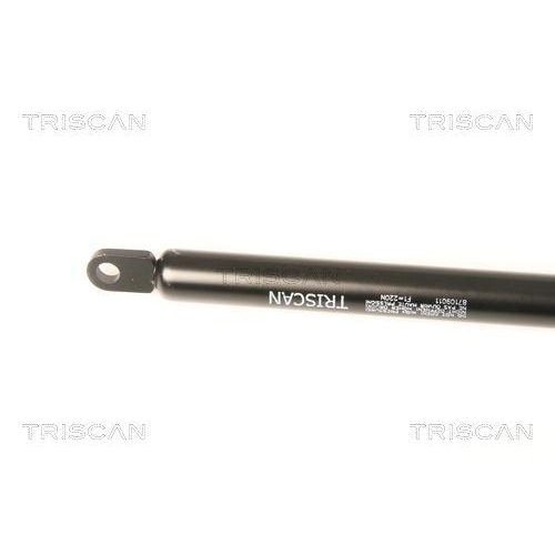 Gasfeder, Frontklappe TRISCAN 8710 9011 f&uuml;r