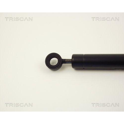 Schwingungsd&auml;mpfer, Keilrippenriemen TRISCAN 8710 2316 f&uuml;r CHRYSLER