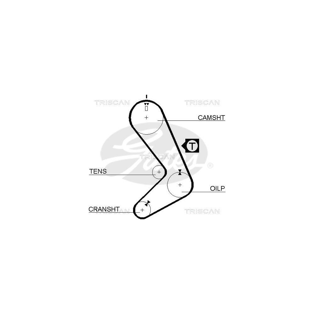 Zahnriemen TRISCAN 8645 5131 für DANA