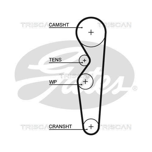 Zahnriemen TRISCAN 8645 5138 für DANA