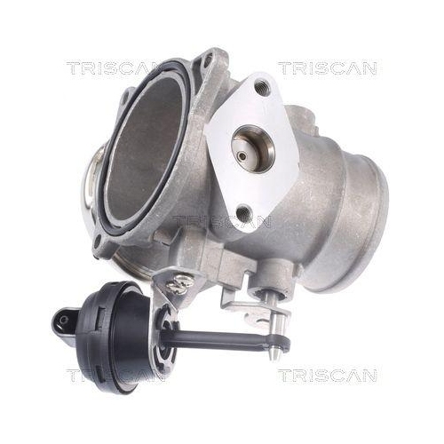 AGR-Ventil TRISCAN 8813 29309 f&uuml;r VW