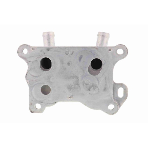 ACKOJA A38-60-0004 &Ouml;lk&uuml;hler, Motor&ouml;l Original ACKOJA Qualit&auml;t f&uuml;r NISSAN