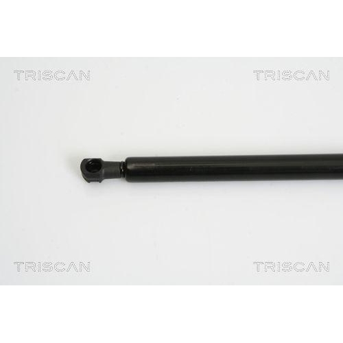 Gasfeder, Koffer-/Laderaum TRISCAN 8710 24233 f&uuml;r