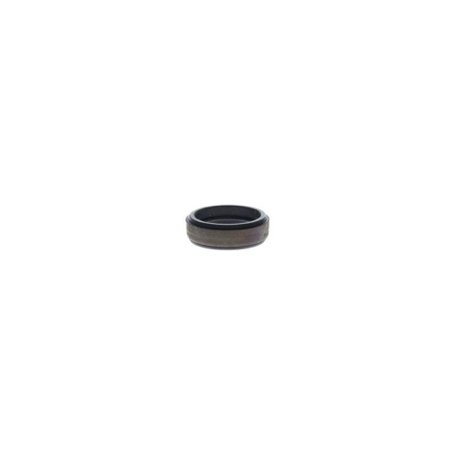 Dichtring, D&uuml;senhalter BOSCH 2 430 223 003 f&uuml;r OPEL SCANIA VAUXHALL CHEVROLET