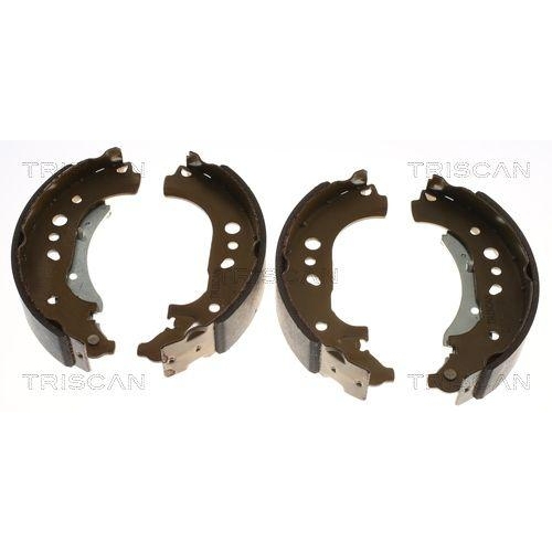 Bremsbackensatz TRISCAN 8100 25007 für RENAULT, Hinterachse
