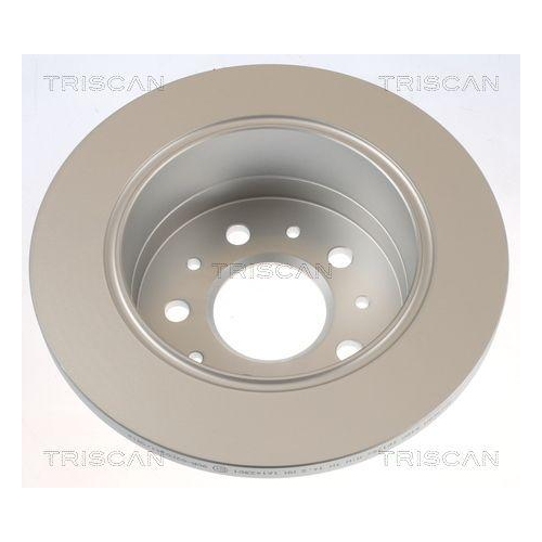 TRISCAN 8120 10176C 2 St&uuml;ck Bremsscheiben f&uuml;r CITRO&Euml;N FIAT PEUGEOT, Hinterachse