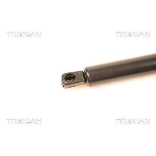 Gasfeder, Koffer-/Laderaum TRISCAN 8710 23209 für MERCEDES-BENZ, hinten links