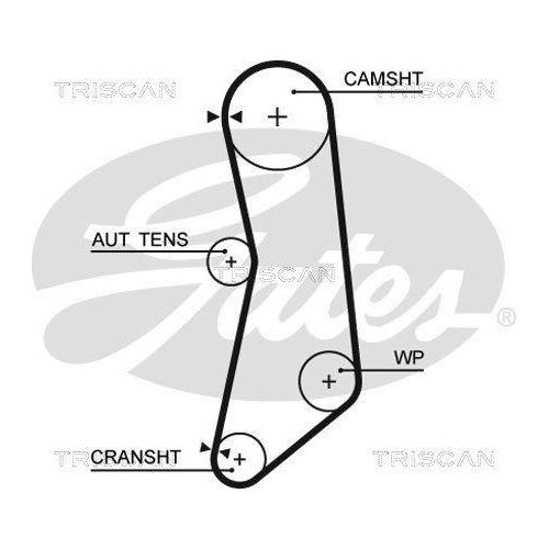 Zahnriemensatz TRISCAN 8647 15041 f&uuml;r FIAT