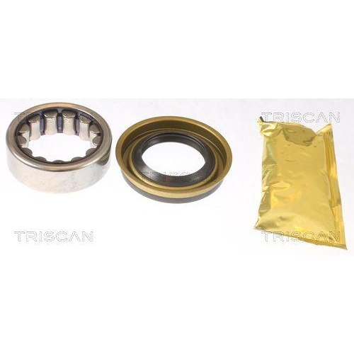 Radlagersatz TRISCAN 8530 102002 f&uuml;r JEEP, Hinterachse