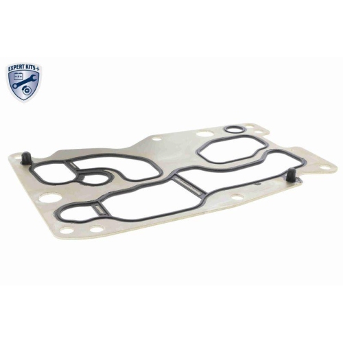 &Ouml;lk&uuml;hler, Motor&ouml;l VEMO V20-60-0076 EXPERT KITS + f&uuml;r BMW TOYOTA