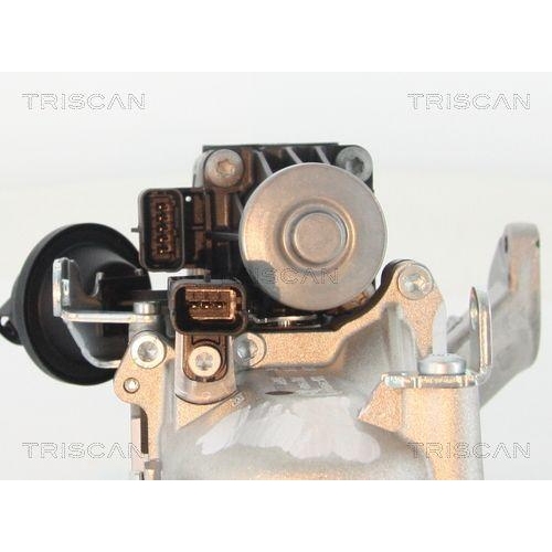 AGR-Ventil TRISCAN 8813 10103 f&uuml;r CITRO&Euml;N FORD PEUGEOT VOLVO