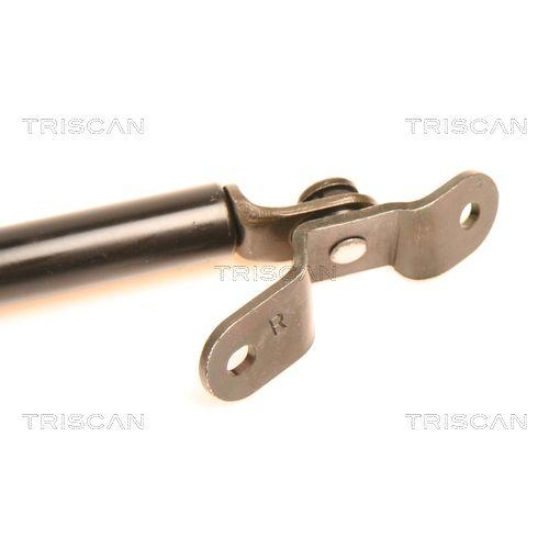 Gasfeder, Koffer-/Laderaum TRISCAN 8710 41212 für DAIHATSU, hinten rechts
