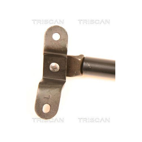 Gasfeder, Koffer-/Laderaum TRISCAN 8710 41213 f&uuml;r DAIHATSU, hinten links, links