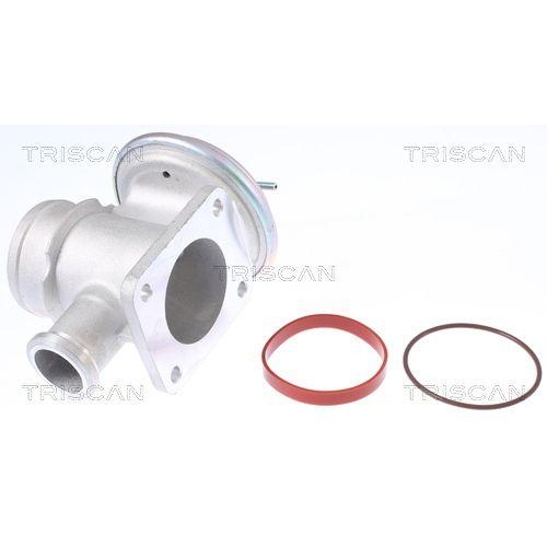 AGR-Ventil TRISCAN 8813 11004 f&uuml;r BMW LAND ROVER