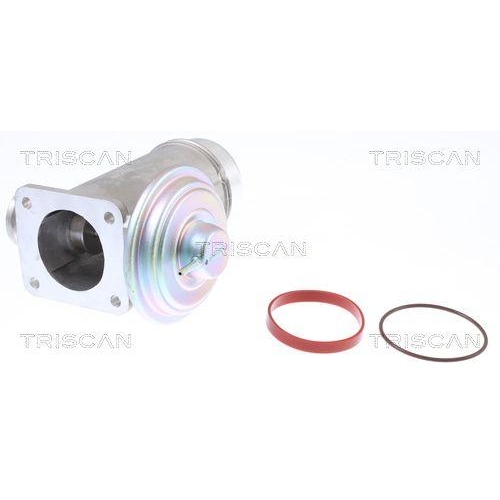 AGR-Ventil TRISCAN 8813 11005 f&uuml;r BMW