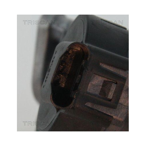 AGR-Ventil TRISCAN 8813 11006 f&uuml;r BMW