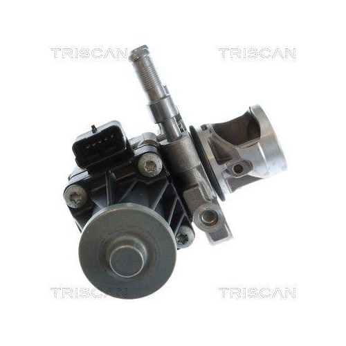AGR-Ventil TRISCAN 8813 10119 für CITROËN FIAT OPEL PEUGEOT TOYOTA VAUXHALL DS