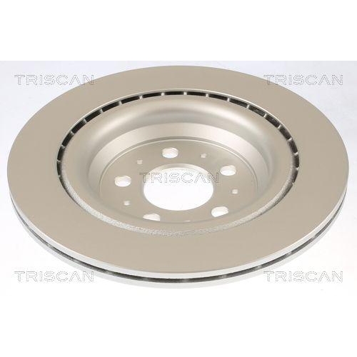 TRISCAN 8120 81004C 2 St&uuml;ck Bremsscheiben f&uuml;r TESLA, Hinterachse
