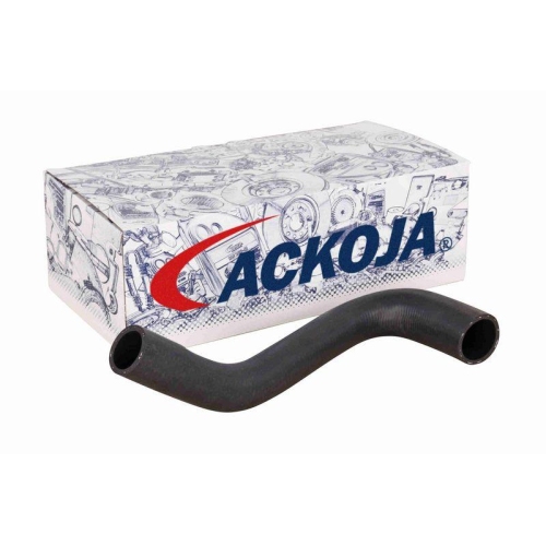 ACKOJA A32-1602 K&uuml;hlerschlauch Original ACKOJA Qualit&auml;t f&uuml;r MAZDA, oben