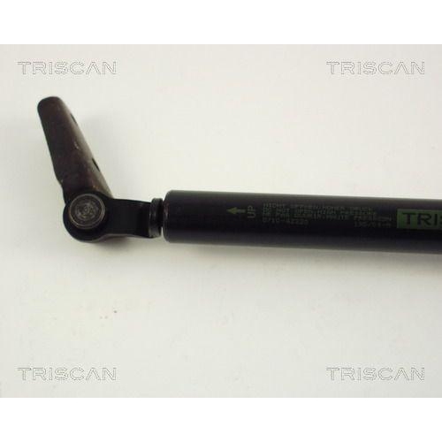 Gasfeder, Koffer-/Laderaum TRISCAN 8710 42220 f&uuml;r MITSUBISHI, links