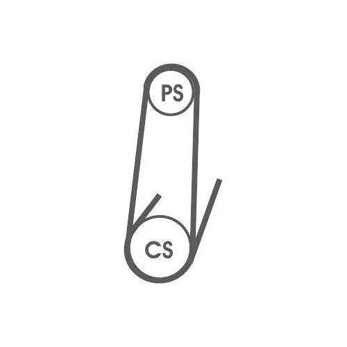 Keilrippenriemen CONTINENTAL CTAM 4PK1022 ELAST f&uuml;r FIAT