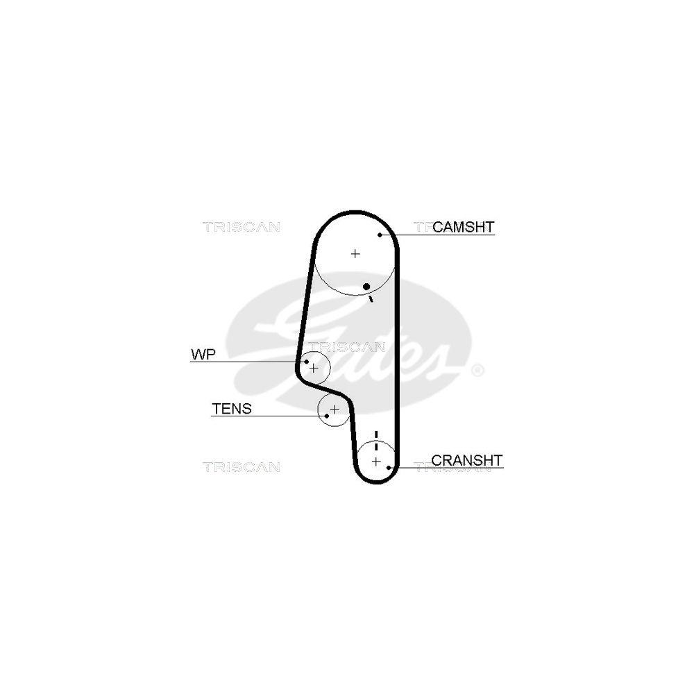Zahnriemen TRISCAN 8645 5428xs f&uuml;r SEAT SKODA VW DANA