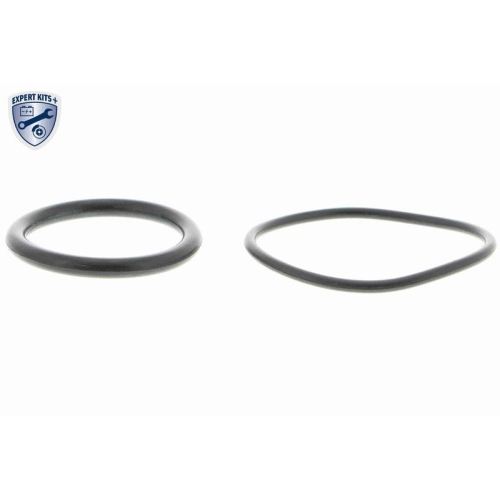 Kraftstoffpumpe VEMO V10-09-0806 EXPERT KITS + f&uuml;r AUDI FORD SEAT SKODA VW VAG