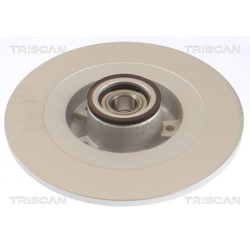 TRISCAN 8120 25188C 2 St&uuml;ck Bremsscheiben f&uuml;r RENAULT, Hinterachse