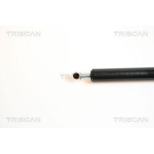 Gasfeder, Koffer-/Laderaum TRISCAN 8710 42227 für MITSUBISHI, hinten links