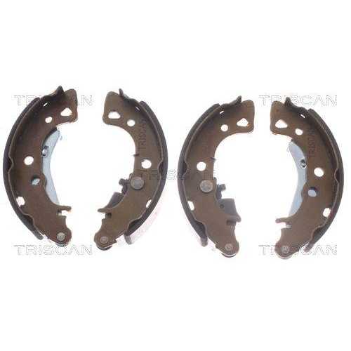 Bremsbackensatz TRISCAN 8100 28054 f&uuml;r CITRO&Euml;N PEUGEOT, Hinterachse