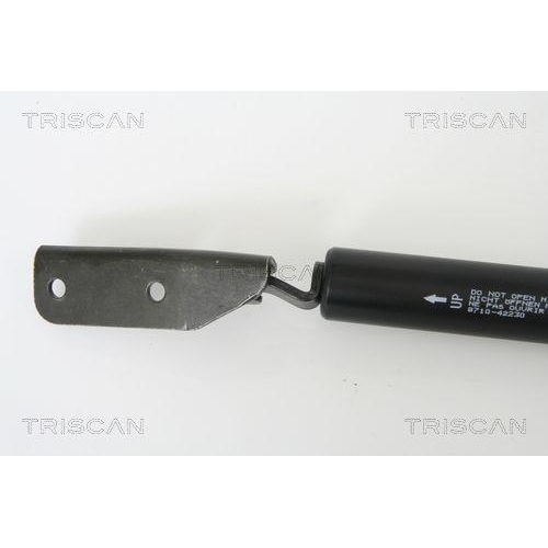 Gasfeder, Koffer-/Laderaum TRISCAN 8710 42230 f&uuml;r MITSUBISHI, hinten links