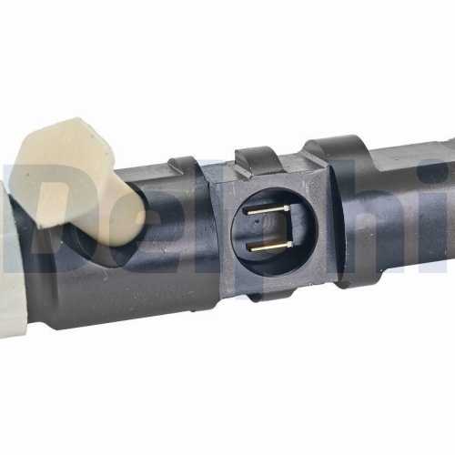 DELPHI R04401D-12B1 Einspritzventil f&uuml;r SSANGYONG