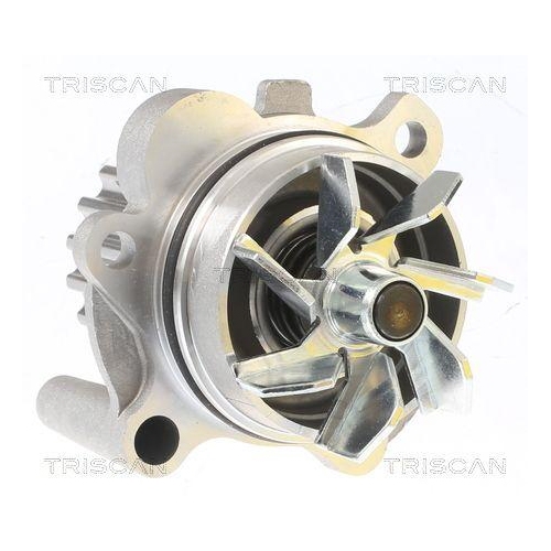 Wasserpumpe, Antriebsbatterie TRISCAN 8600 29038 f&uuml;r