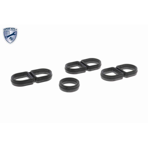 &Ouml;lk&uuml;hler, Motor&ouml;l VEMO V10-60-0066 EXPERT KITS + f&uuml;r AUDI VW
