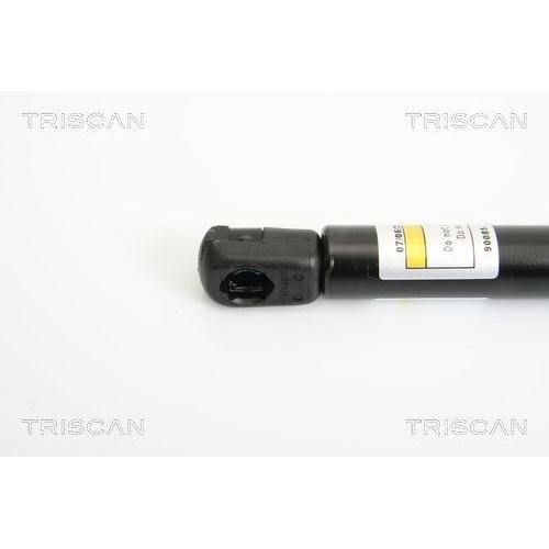 Gasfeder, Koffer-/Laderaum TRISCAN 8710 38219 f&uuml;r CITRO&Euml;N