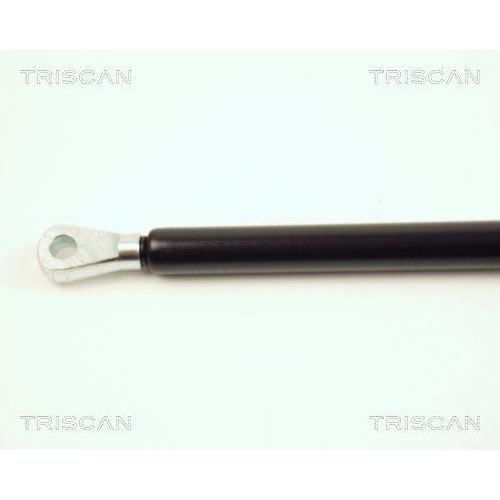 Gasfeder, Motorhaube TRISCAN 8710 16102 f&uuml;r JAGUAR