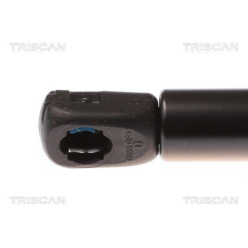 Gasfeder, Motorhaube TRISCAN 8710 29119 für