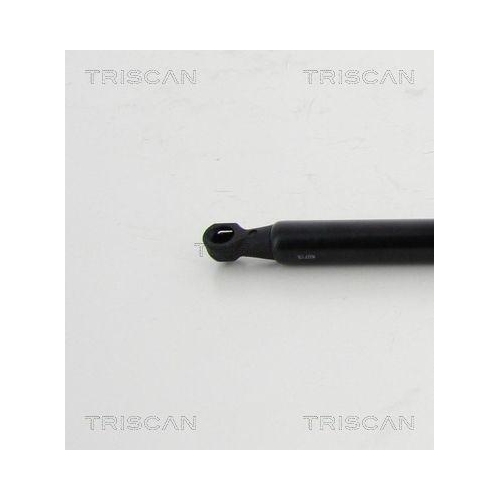 Gasfeder, Koffer-/Laderaum TRISCAN 8710 24254 für CHEVROLET, hinten links