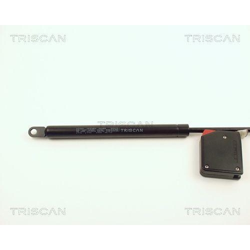 Gasfeder, Motorhaube TRISCAN 8710 2002 f&uuml;r PORSCHE