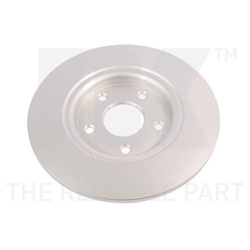 NK 319951 2 St&uuml;ck Bremsscheiben f&uuml;r CHRYSLER DODGE FIAT LANCIA, Hinterachse