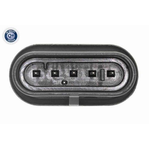 Sensor, Kraftstofftemperatur VEMO V40-72-0029 Q+, Erstausr&uuml;sterqualit&auml;t f&uuml;r FIAT