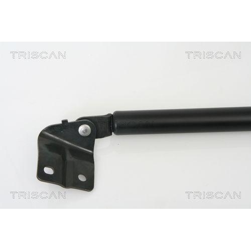 Gasfeder, Koffer-/Laderaum TRISCAN 8710 69215 für, rechts