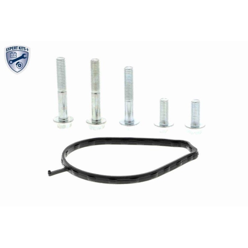 Wasserpumpe, Motorkühlung VAICO V22-50011 EXPERT KITS + für CITROËN DAIHATSU