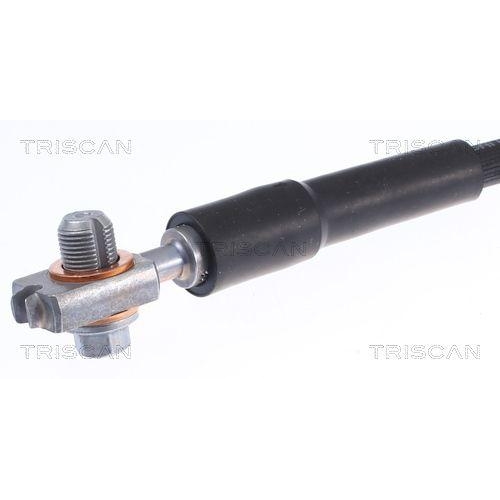 Bremsschlauch TRISCAN 8150 29245 f&uuml;r AUDI, Hinterachse