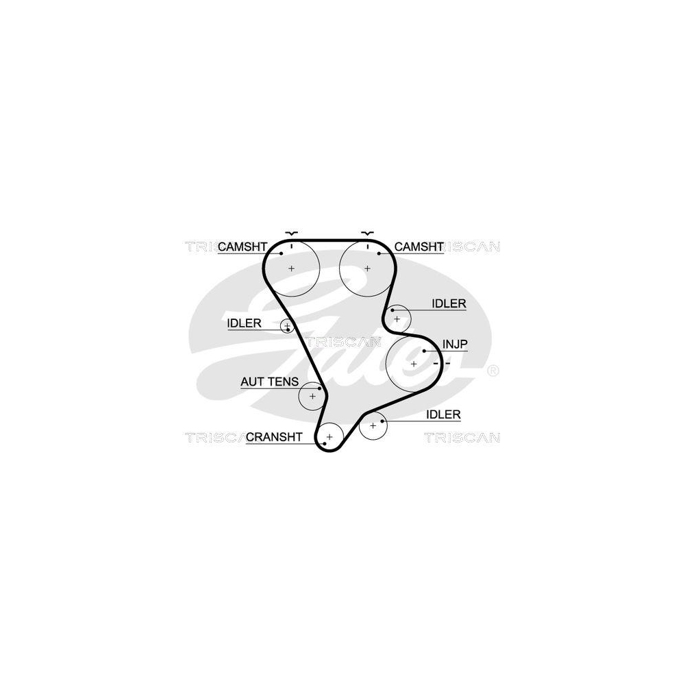 Zahnriemen TRISCAN 8645 5583xs f&uuml;r HYUNDAI KIA
