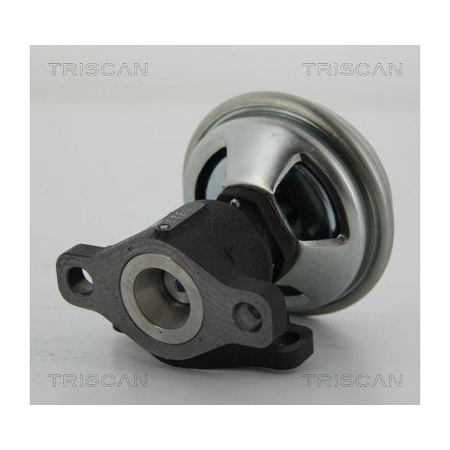 AGR-Ventil TRISCAN 8813 43003 f&uuml;r HYUNDAI KIA