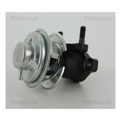 AGR-Ventil TRISCAN 8813 43008 f&uuml;r HYUNDAI