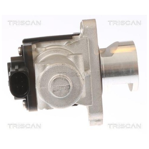 AGR-Ventil TRISCAN 8813 43010 für HYUNDAI KIA HITACHI